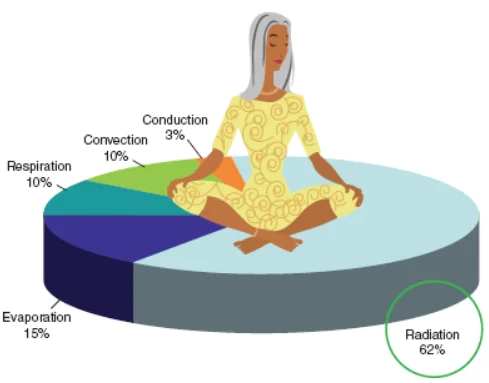 Processes the body uses to release heat to a typical indoor environment.